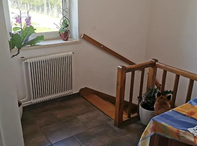 Ferienwohnung Solebad Gmund (Lower Austria)